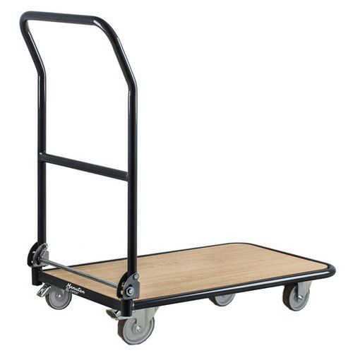 Stahlwagen mit herunterklappbarem Bügel - Tragkraft 250 kg - Manutan Expert