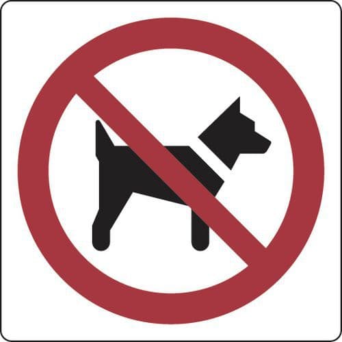 Verbotsschild - Hunde verboten - Aluminium