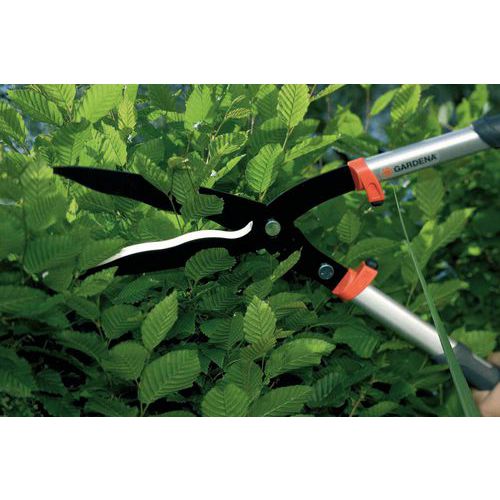 robust für einen kräftigen Schnitt