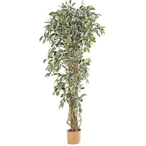 Kunstpflanzen 180 cm Kunstpflanzen 180 cm